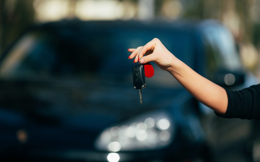 Professional Service